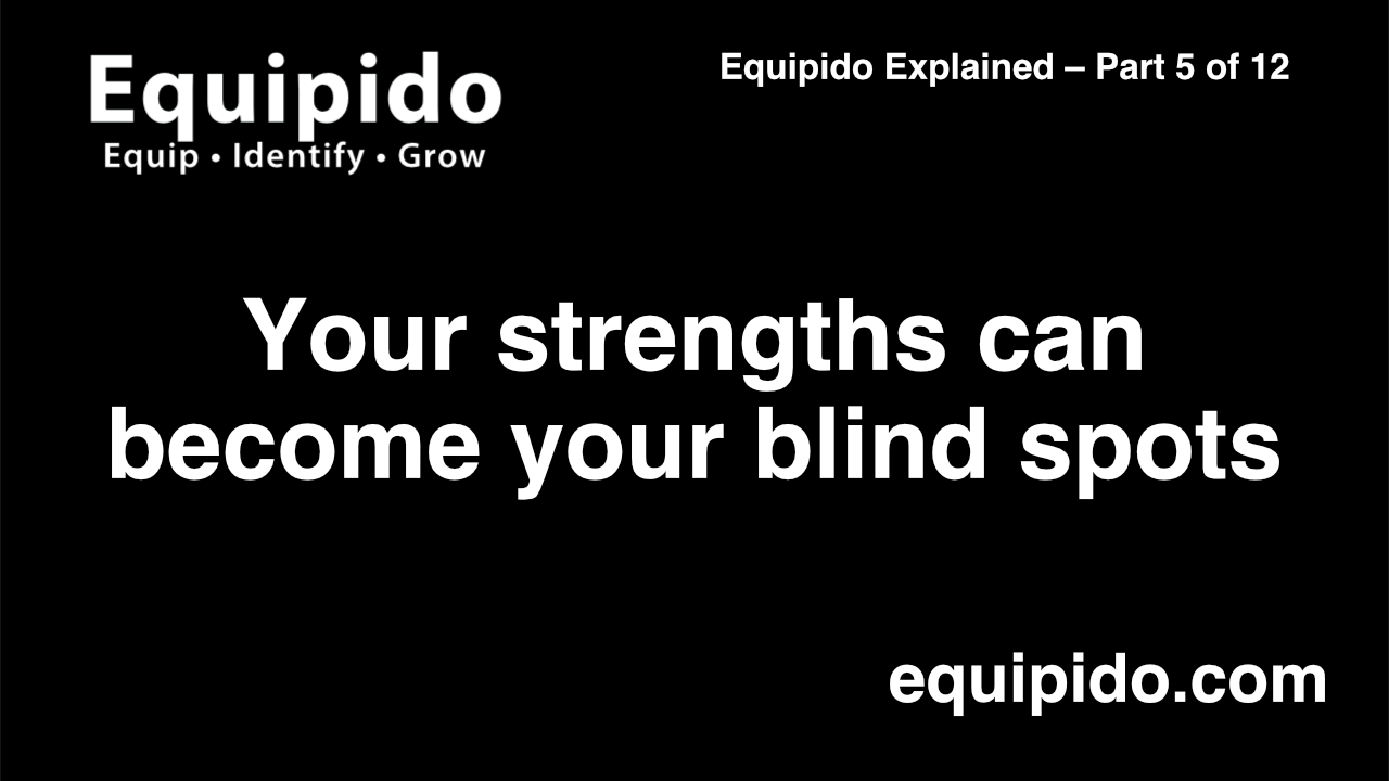 Equipido Explained – Part 5 of 12: Your strengths can become your blind spots