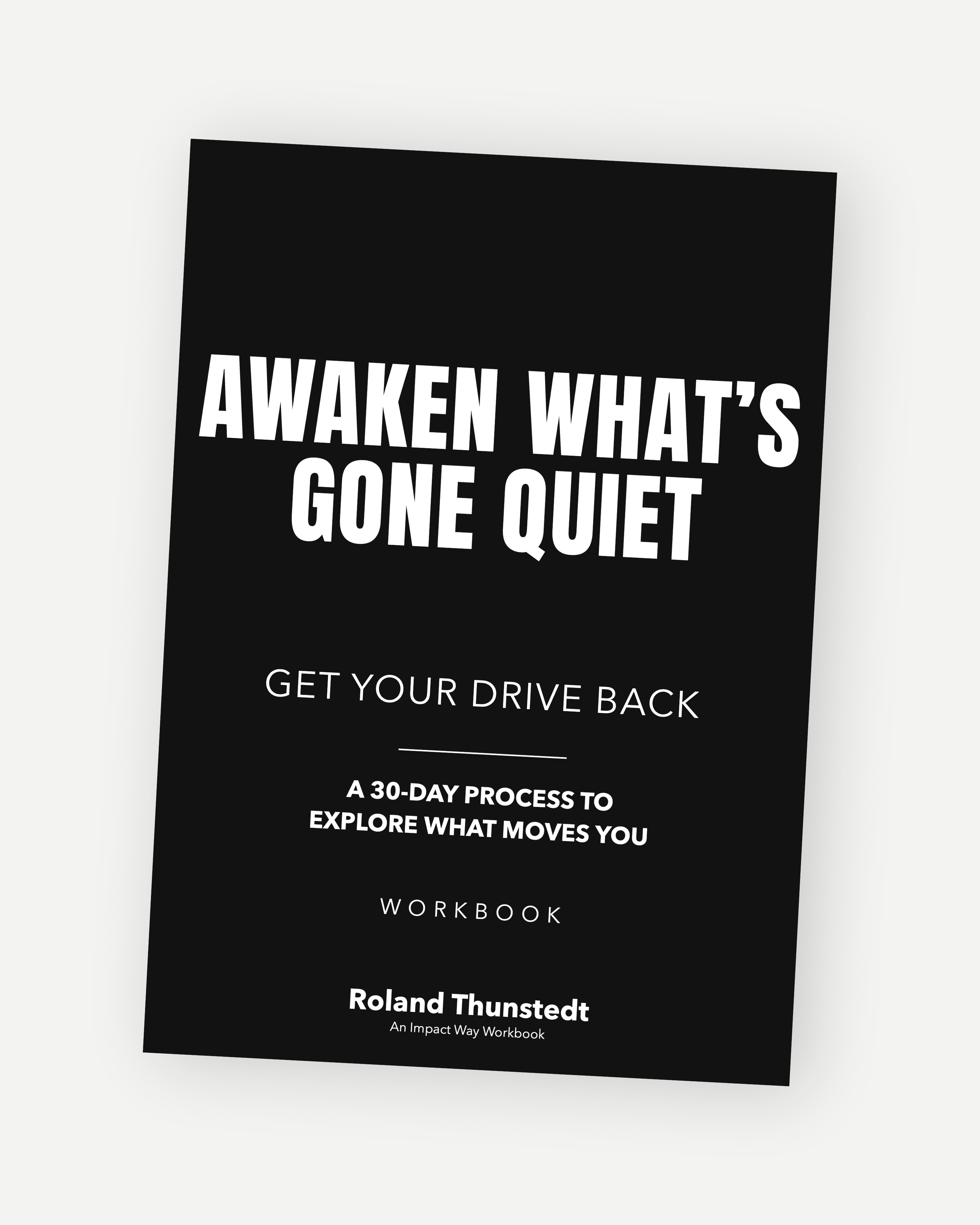 Cover of the Awaken What’s Gone Quiet workbook.
